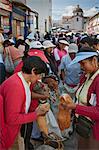 Ecuador, Meerschweinchen auf dem Wochenmarkt Sangolqui als eine Delikatesse hier und Peru.