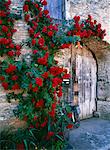 Wooden gateway surrounded by roses,Flavigny sur Ozerain