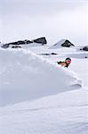 Ein Snowboarder auf Les Grands Montets, Chamonix, Frankreich.