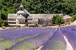 Abbaye de Sénanque, Provence, France