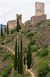 View of the castle at Lastours France