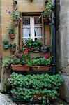 Détail devant une maison dans la région de Dordogne de la France