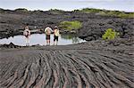 Galapagos Islands, A lava rock pool beside  pahoehoe  lava (named after the Hawaiian for  rope') on Fernandina Island.