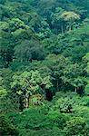 Ghana, région de la Volta, Zohra. Forêts tropicales hug les frontières montagneuses du Ghana et du Togo.