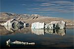 Groenland, Ittoqqortoormiit. Une excursion à travers les icebergs en zodiac dans les eaux calmes d'Ittoqqortoormiit (Scoresbysund) sur la côte nord-orientale du Groenland.