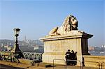 Lion statue on Chain Bridge