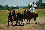 Spectacle de chevaux hongrois Cowboy