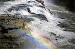 Islande. Gullfoss (or Falls) est une magnifique 32 m de hauteur double cascade sur la rivière White (Hvíta). Le débit de la rivière de la saison des pluies régulières et de l'écoulement glaciaire, particulièrement en été, fait que le plus gros volume tombe en Europe.