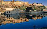 Inde, Rajasthan, Jaipur. Le Amber Fort près de Jaipur, état du Rajasthan, Inde