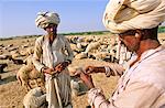 Nomadic Rabari tribesmen, Rann of Kutch, State of Gujarat, India