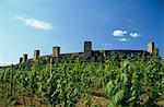 Tuscan counrtyside with Vines and Almond trees with walled town perched on top of hill,near Siena