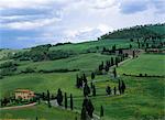 Une route locale, Monticchiello, Toscane