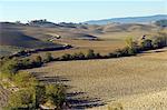 Italie, Toscane, Le Crete. Terres agricoles arables labourés à l'automne dans la région de Crète Le de la Toscane centrale.