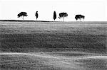 Classique paysage Toscane, près de San Quirico, Valle de Orcia, Toscane, Italie