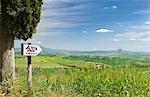 Toscans traditionnels paysage près de San Quirico, Valle de Orcia, Toscane, Italie