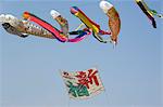 Sagamihara near Tokyo Otako age giant kite flying festival koi nobori carp kites