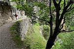 Walking the Cares Gorge. The Cares Gorge separates the central and western massifs of the Picos. Picos de Europa, Northern Spain