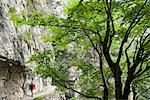 Walking the Cares Gorge. The Cares Gorge separates the central and western massifs of the Picos. Picos de Europa, Northern Spain