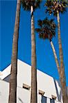 Detail of Picasso Museum in Malaga, Andalusia, Spain