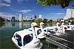 Asia, South Asia, Sri Lanka, Colombo, Cinnamon Gardens, Swan Shaped Pedaloes On Beira Lake