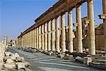 Syrie, Palmyre. La colonnade du cardo maximus.