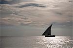 Tanzania, Zanzibar. A Dhow is silhouetted off the coast of Stone Town.