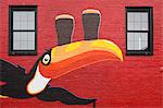 Portland, Maine, USA. Toucan Mural on an Irish pub in Portland Maine