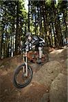 VTT homme sur Mount Seymour, Parc Provincial du Mont Seymour, North Vancouver, Colombie-Britannique, Canada