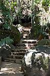 Boulder Garden, Sri Lanka. Stone steps with foliage