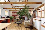 Loft office, trusses timber wood