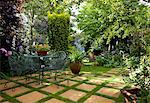 Suburban Garden. Wire garden furniture on checkerboard paving stone and grass amongst lush green planting including yew tree and rosa rubrifolia