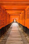 Portes Torii au sanctuaire de Fushimi Inari, Kyoto, Japon