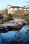 View of narrowboats on Lisson Wide, Regent's Canal, Lisson Grove, London, NW8, England