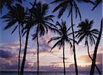 Dawn over Bottom Bay beach