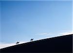 Horse riders at dusk on a sand dune in the Valle de la Muerte in Cordillera de la Sal Mountains