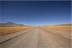 Empty desert road.