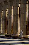 Temple guard walking past columns in Court of Amenophis III