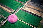 Pink hot air balloon with fields below, Aerial View