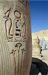 Sculptures sur pilier à Medinet Habu