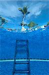 Underwater view of swimming pool steps and palm tree