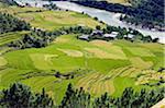 Asia, Bhutan, Punakha, Tsang Chhu river and rice terraces