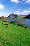 Buttermere, The Lake District, Cumbria, England