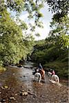 Exmoor, Devon, l'Angleterre. Poney à travers un cours d'eau à la ferme de nuage.