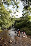 England, Devon, Exmoor. Pony riding through a stream at Cloud Farm.