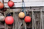 England, Isle of Wight. Fishing nets and floats hanging on a timber frame at Steephill Cove.