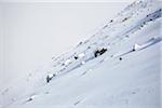 Un skieur de descente Affawat Mont à Gulmarg, Srinagar, Inde