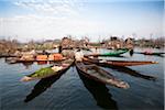 The floating vegetable market at Dal Lake in Srinagar, Kashmir, India