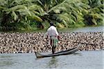 India, Kerala. Duck farmers in the Kerala Backwaters herd a huge flock of domestic ducks along a river channel.