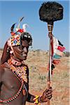 Kenya, A Samburu warrior of Northern Kenya in all his finery. The ostrich pompom on top of his spear was formerly a sign of peace.