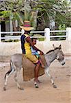 Kenya. In the absence of motor vehicles, donkeys are the only means of passenger transport on Lamu Island.